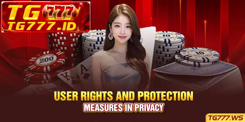 User Rights and Protection Measures in Privacy