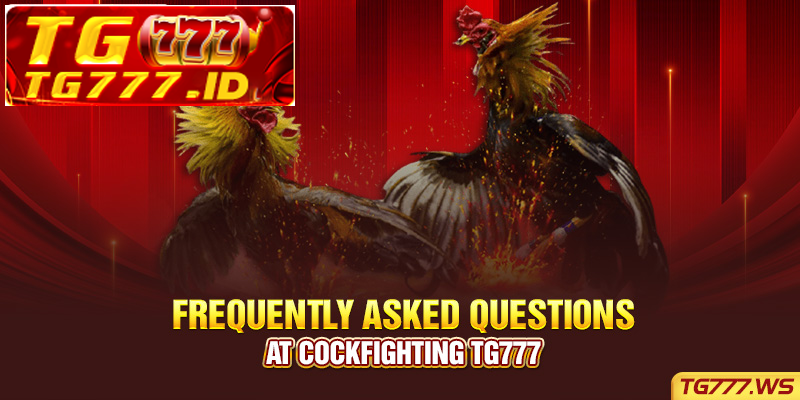 Frequently Asked Questions at Cockfighting Tg777 Frequently Asked Questions at Cockfighting Tg777