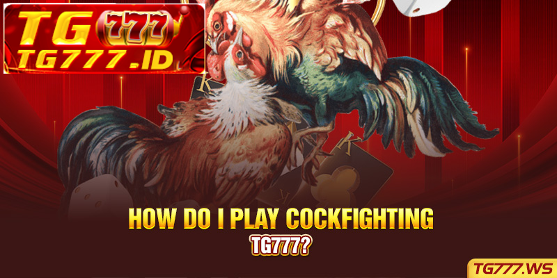 How do I play Cockfighting Tg777? How do I play Cockfighting Tg777?