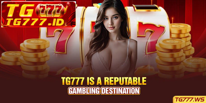 Tg777 is a reputable gambling destination Tg777 is a reputable gambling destination